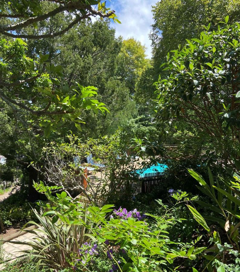 קניסנה Badger'S Cottage מראה חיצוני תמונה