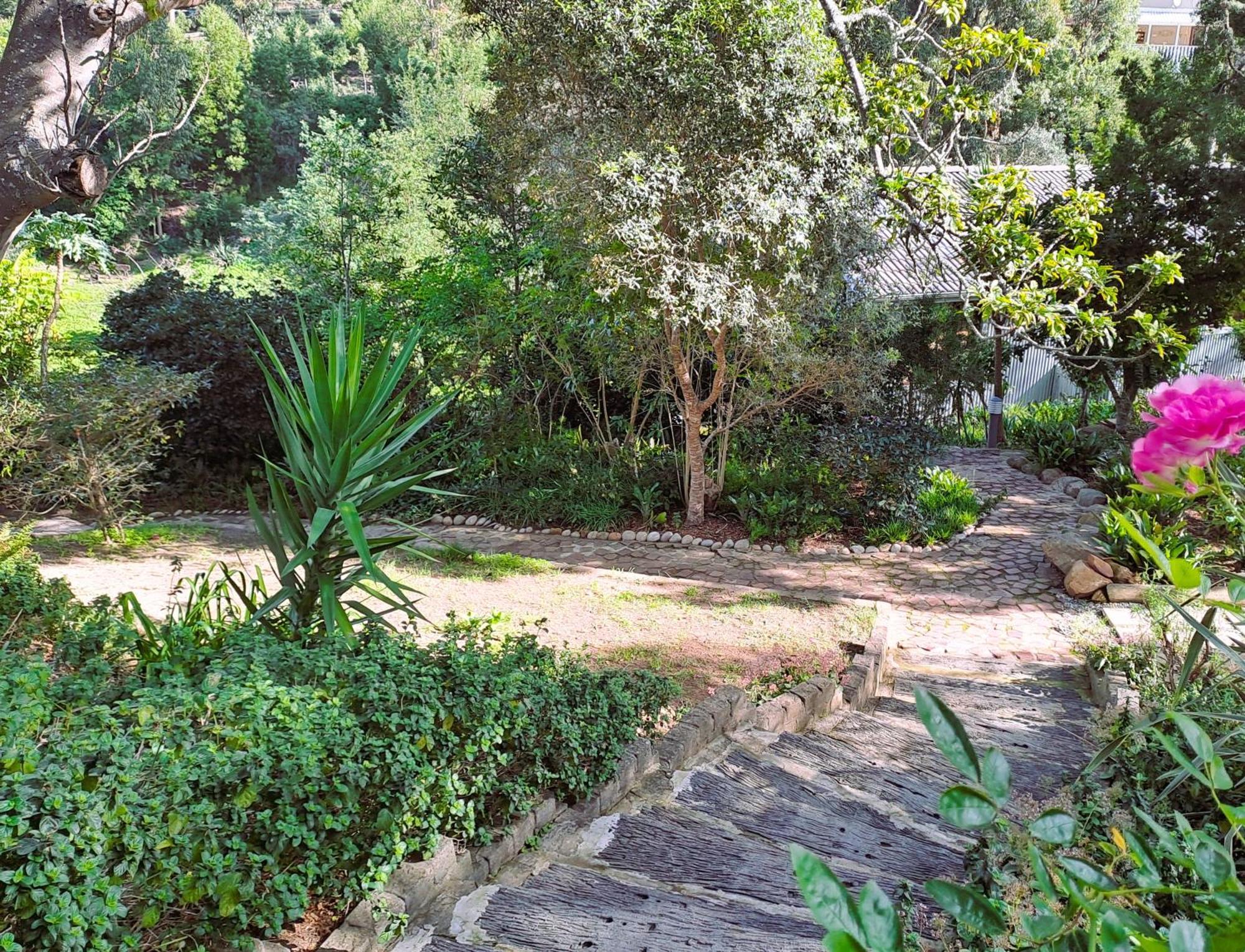 קניסנה Badger'S Cottage מראה חיצוני תמונה
